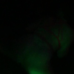 badrussianbaby