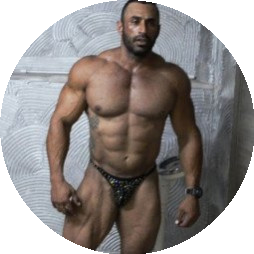 assis_bull