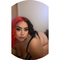 onlykittykattfree