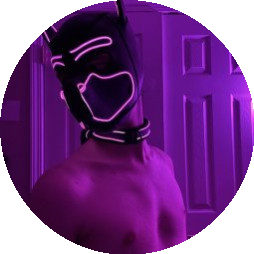 pup_haze
