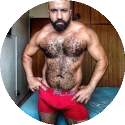 musclebearbrazil