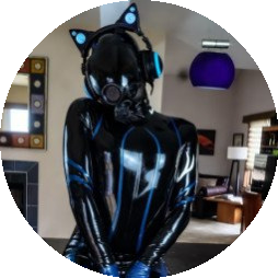 shinykittyboy