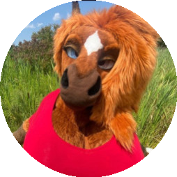 rain_horsie