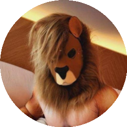 damienthelion