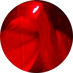 throatpara