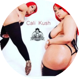 calikushxxrated250