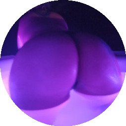 meryonlyfackfree