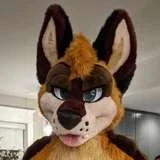 levisheppy
