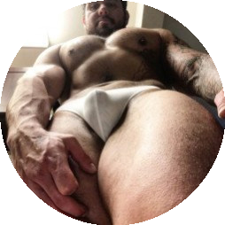 briefsbull