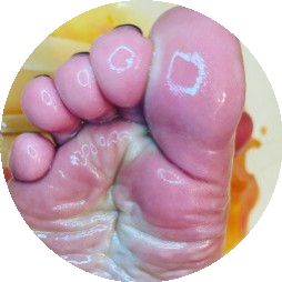elsiesoles