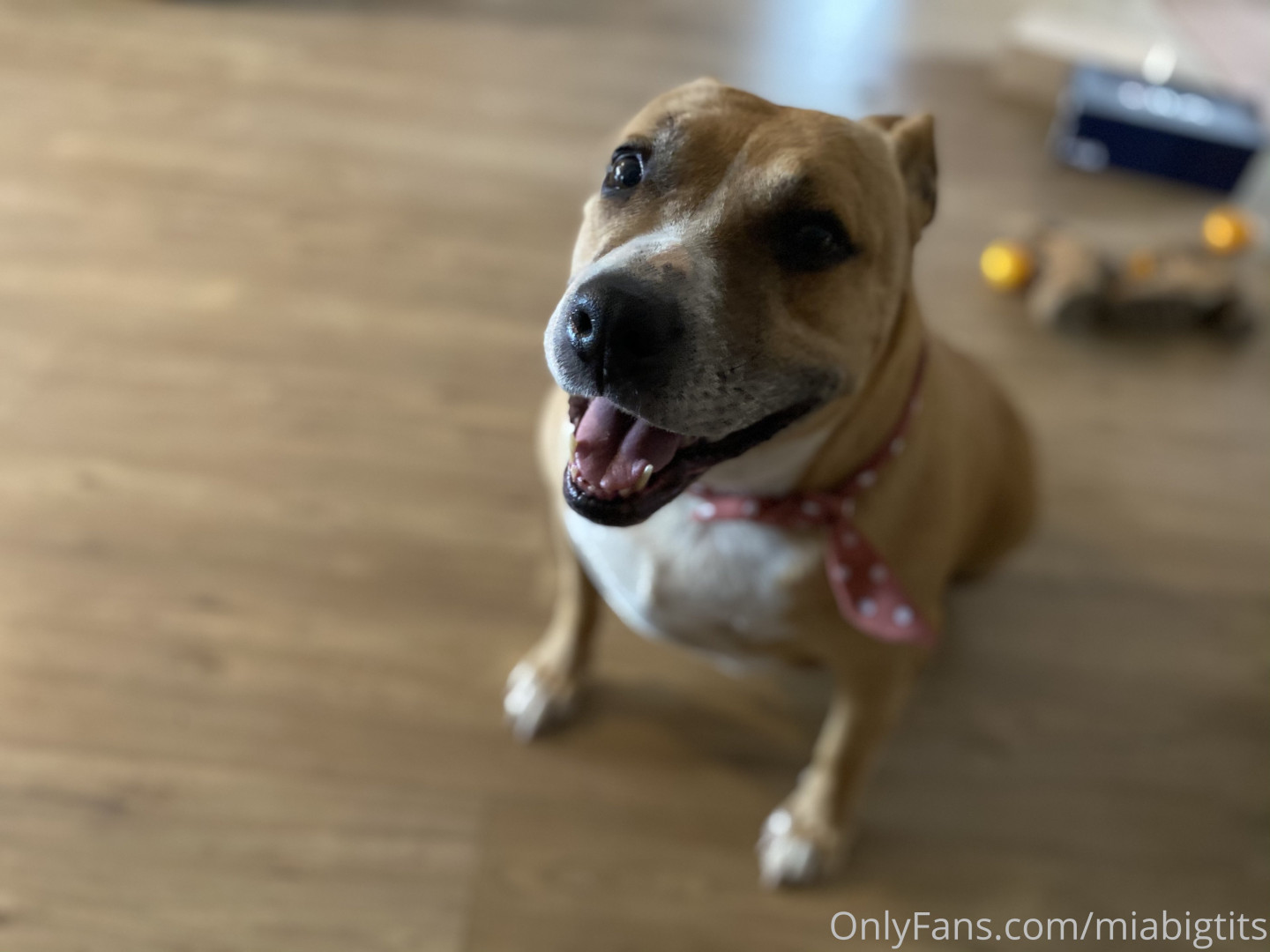 Photo by miabigtits published on October 16,2023 16:45:47 - BestThots