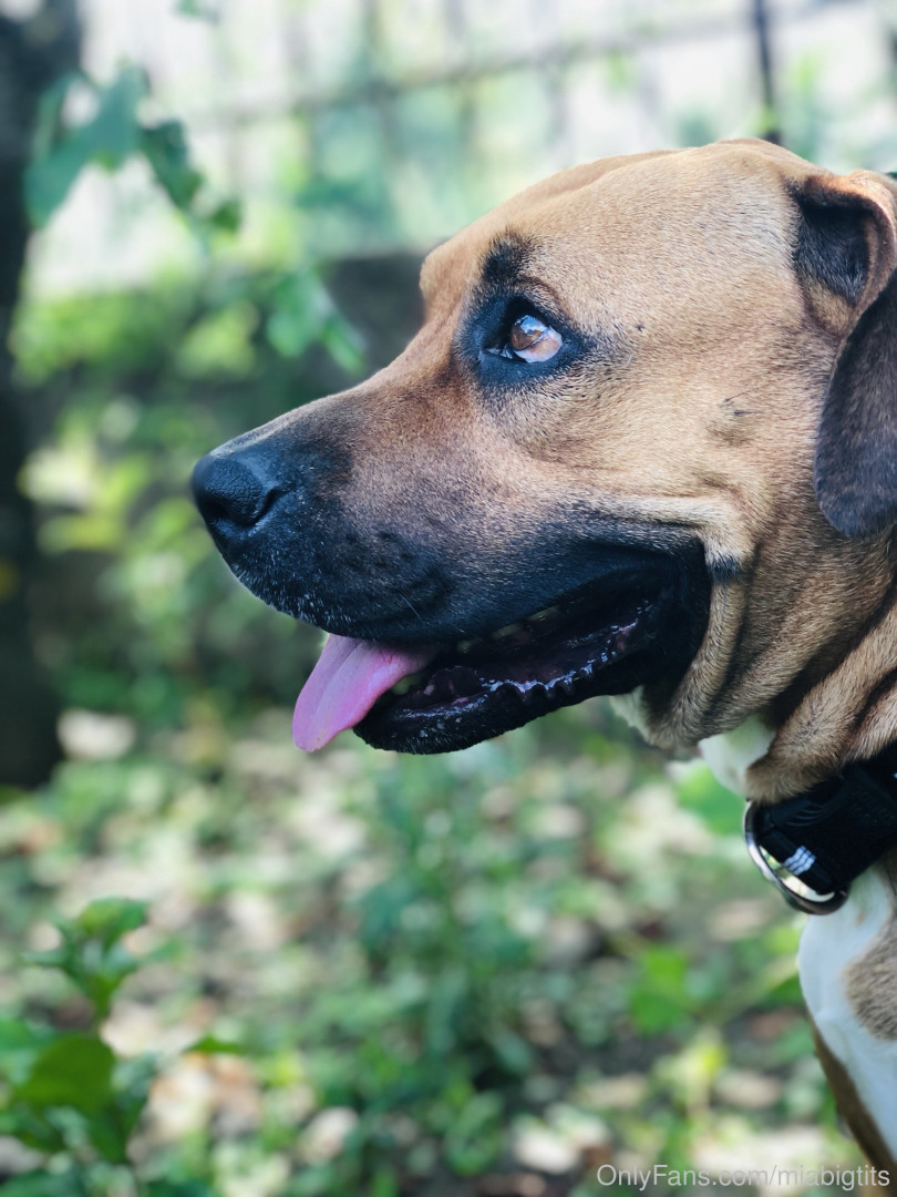 Photo by miabigtits published on October 16,2023 16:55:10 - BestThots