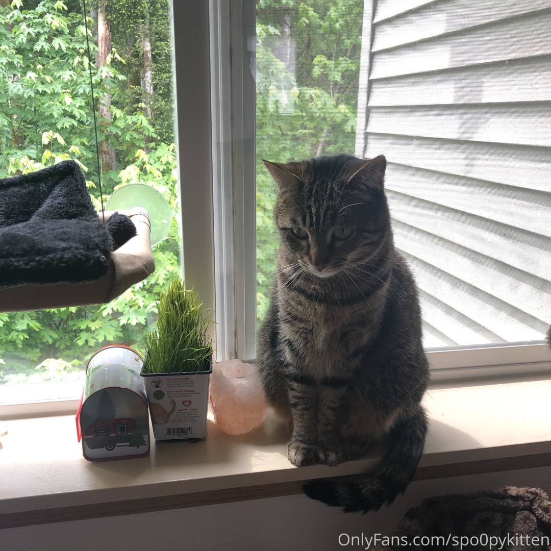 Photo by spo0pykitten published on October 16,2023 01:19:41 - BestThots