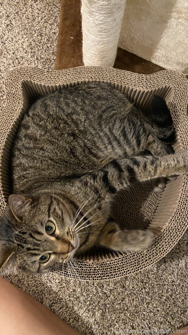 Photo by spo0pykitten published on October 16,2023 01:35:43 - BestThots