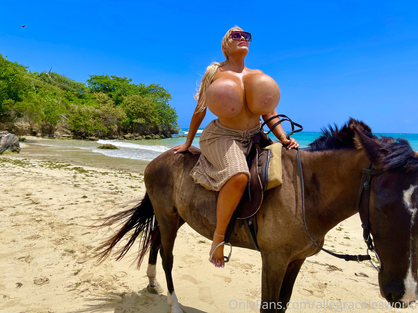 Photo by allegracolesworld published on November 20,2023 20:42:03 - BestThots