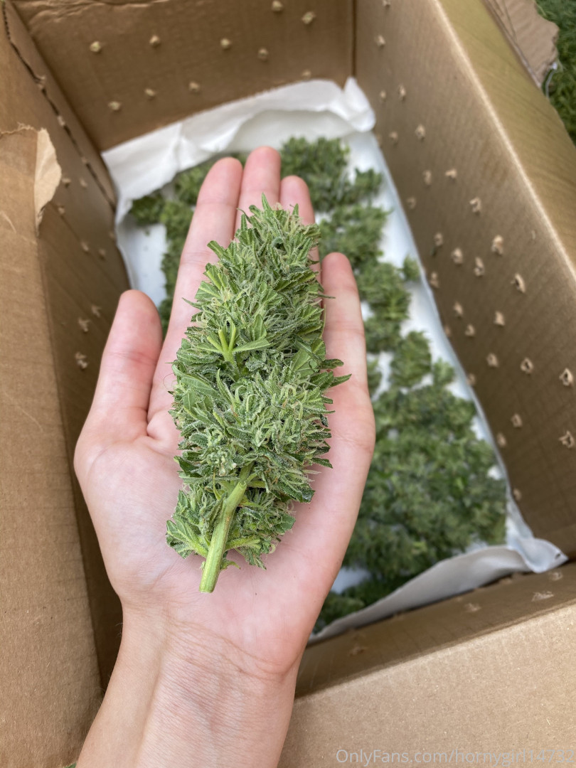 Photo by hornygirl14732 published on October 15,2023 12:04:40 - BestThots