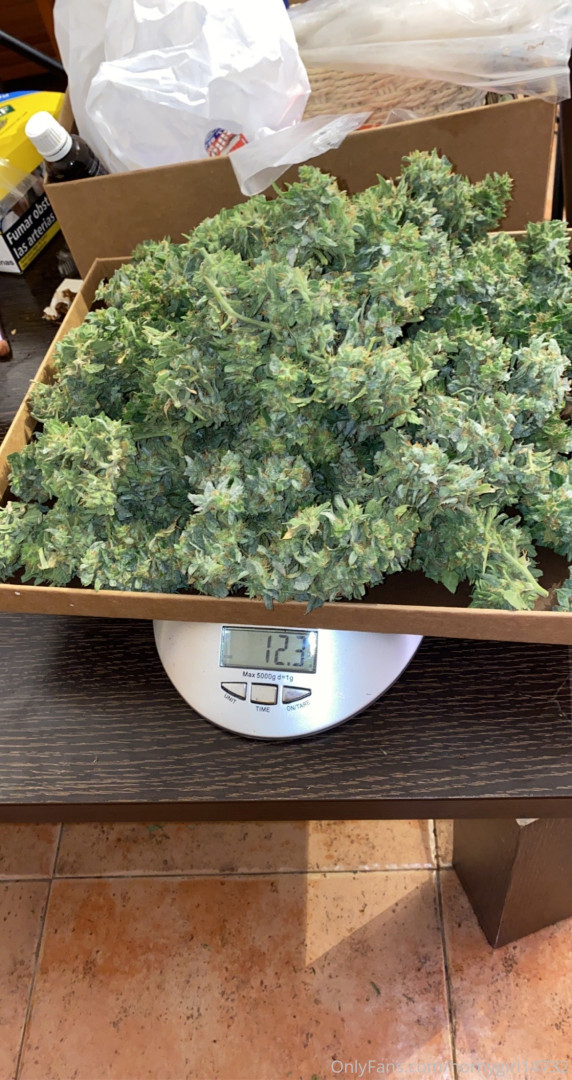 Photo by hornygirl14732 published on October 15,2023 12:12:29 - BestThots