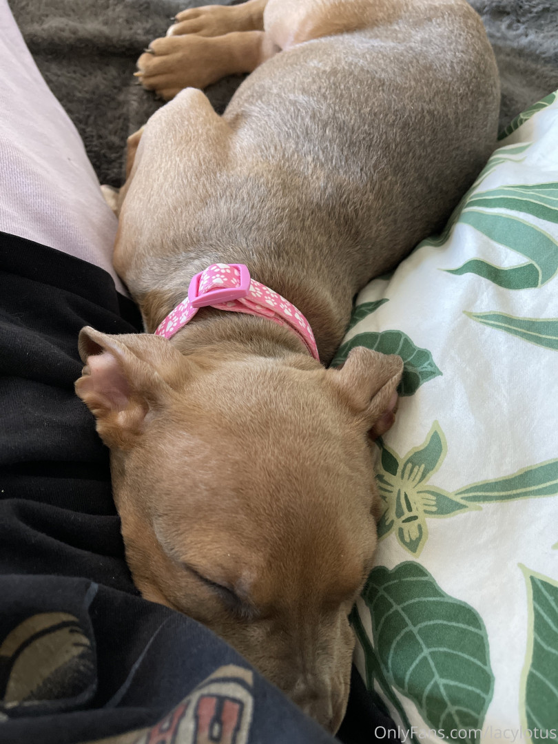 Photo by lacylotus published on August 29,2023 02:45:55 - BestThots