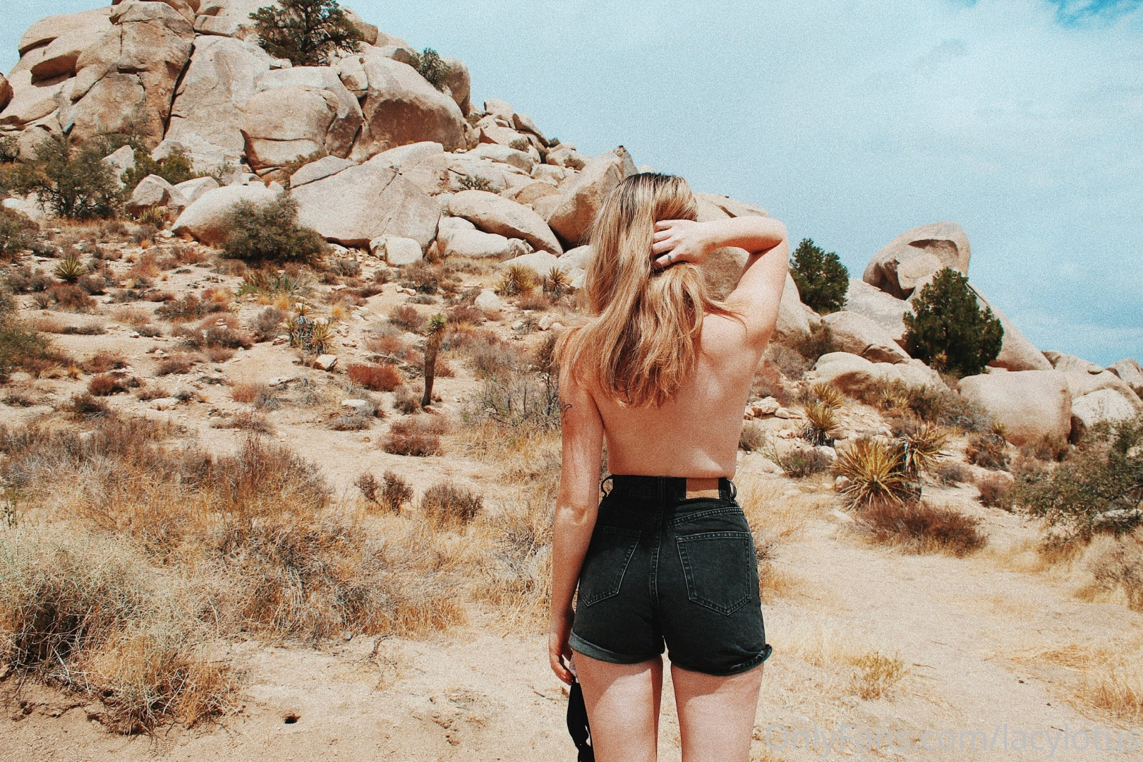 Photo by lacylotus published on August 29,2023 02:51:00 - BestThots