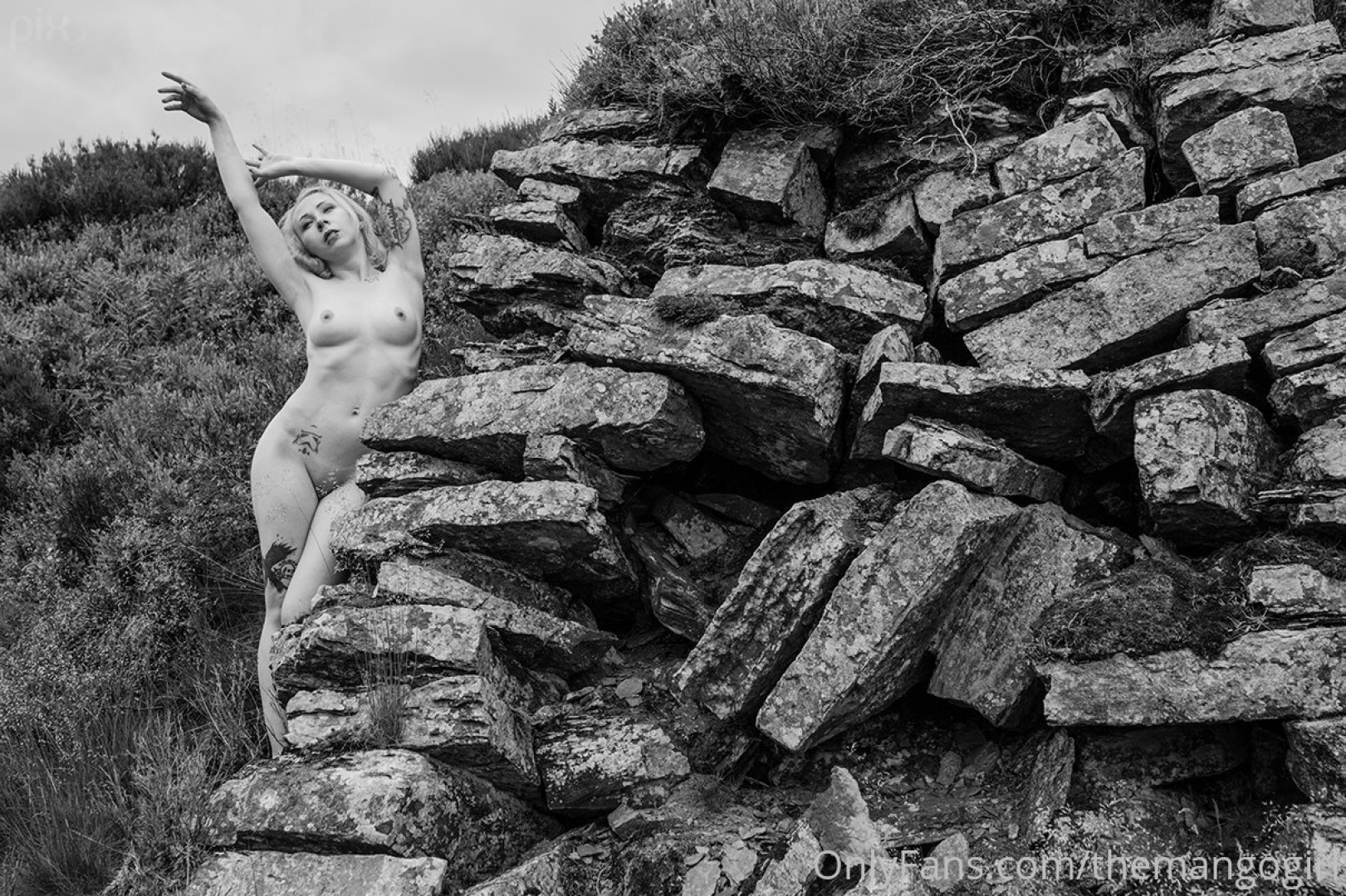 Photo by thewildhobbit published on May 16,2023 19:36:18 - BestThots