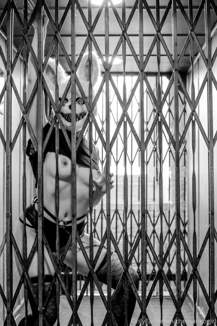 Photo by thewildhobbit published on May 16,2023 19:39:49 - BestThots