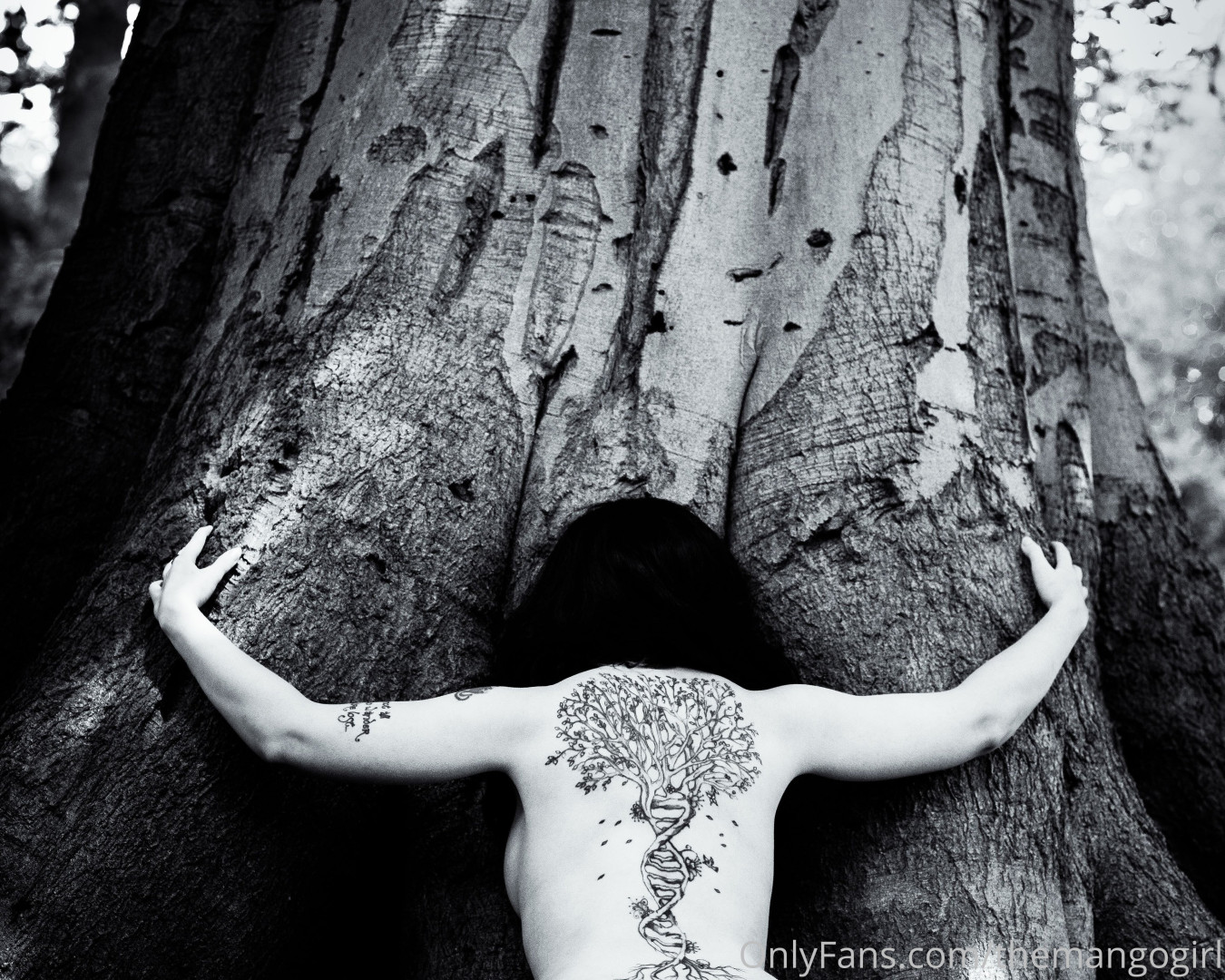 Photo by thewildhobbit published on May 16,2023 19:42:29 - BestThots