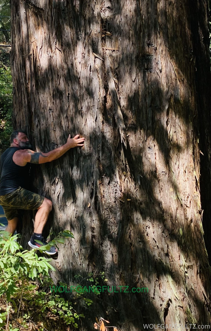 Photo by wolfgangfultz published on May 16,2023 00:43:13 - BestThots