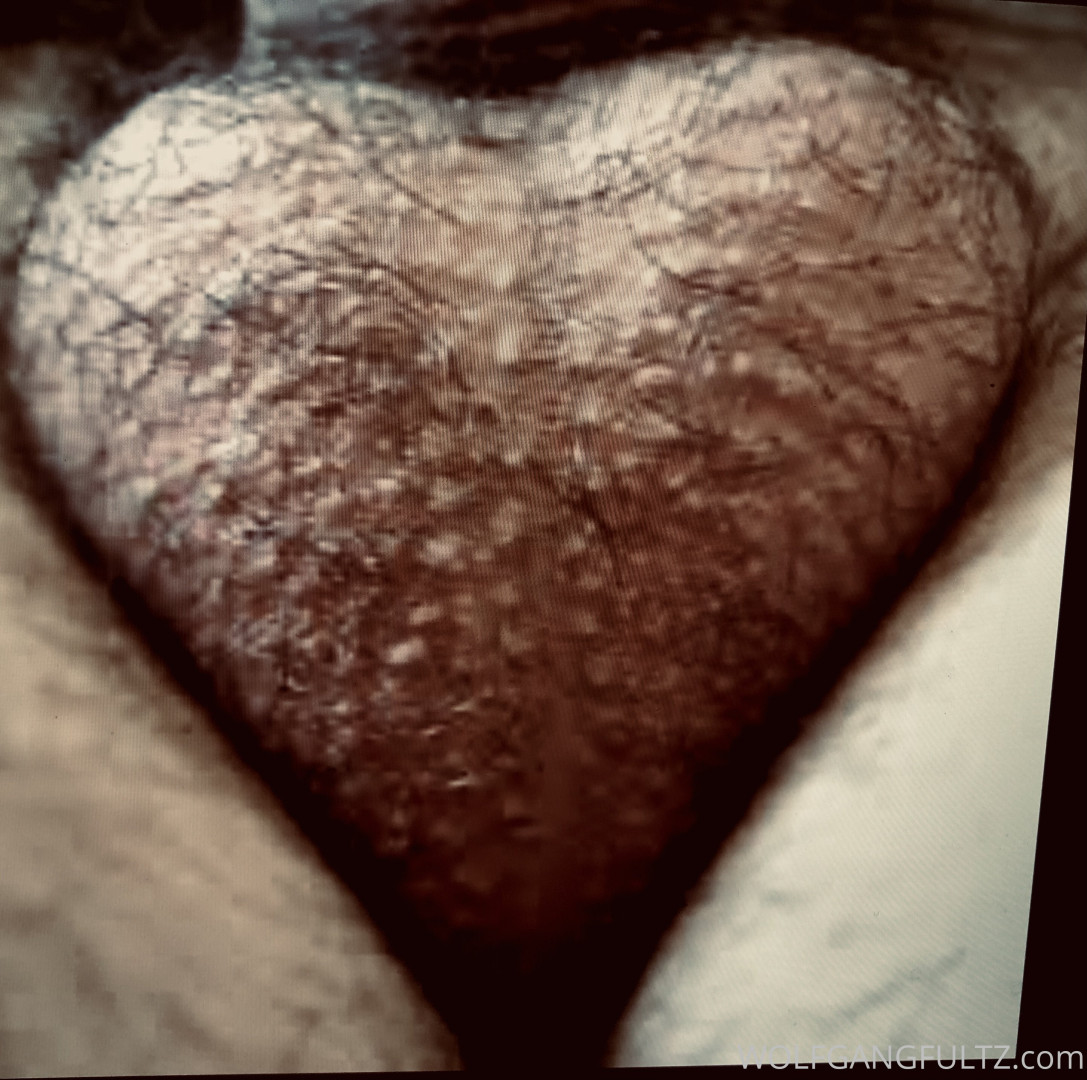 Photo by wolfgangfultz published on May 16,2023 00:44:58 - BestThots