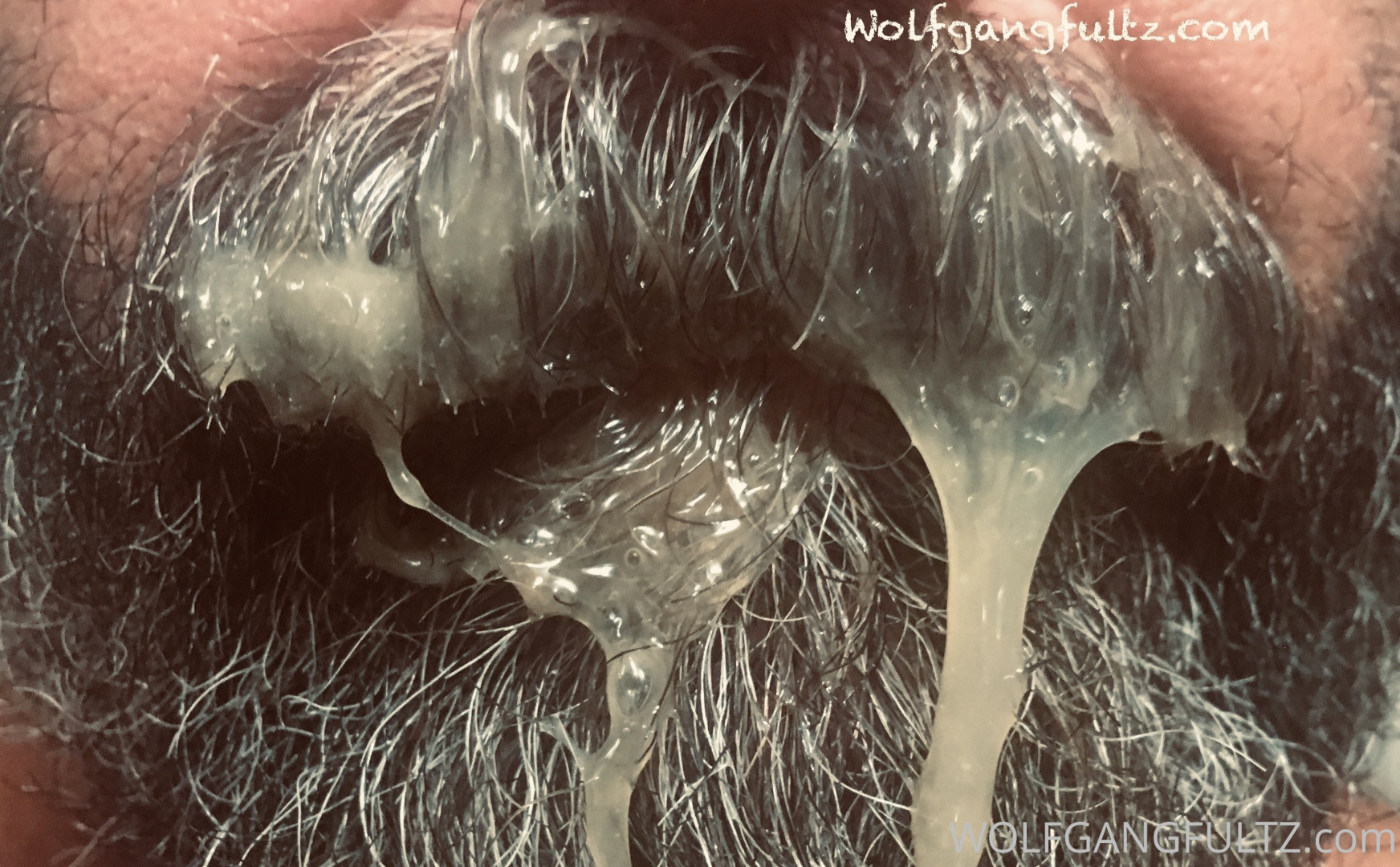 Photo by wolfgangfultz published on May 16,2023 00:45:04 - BestThots