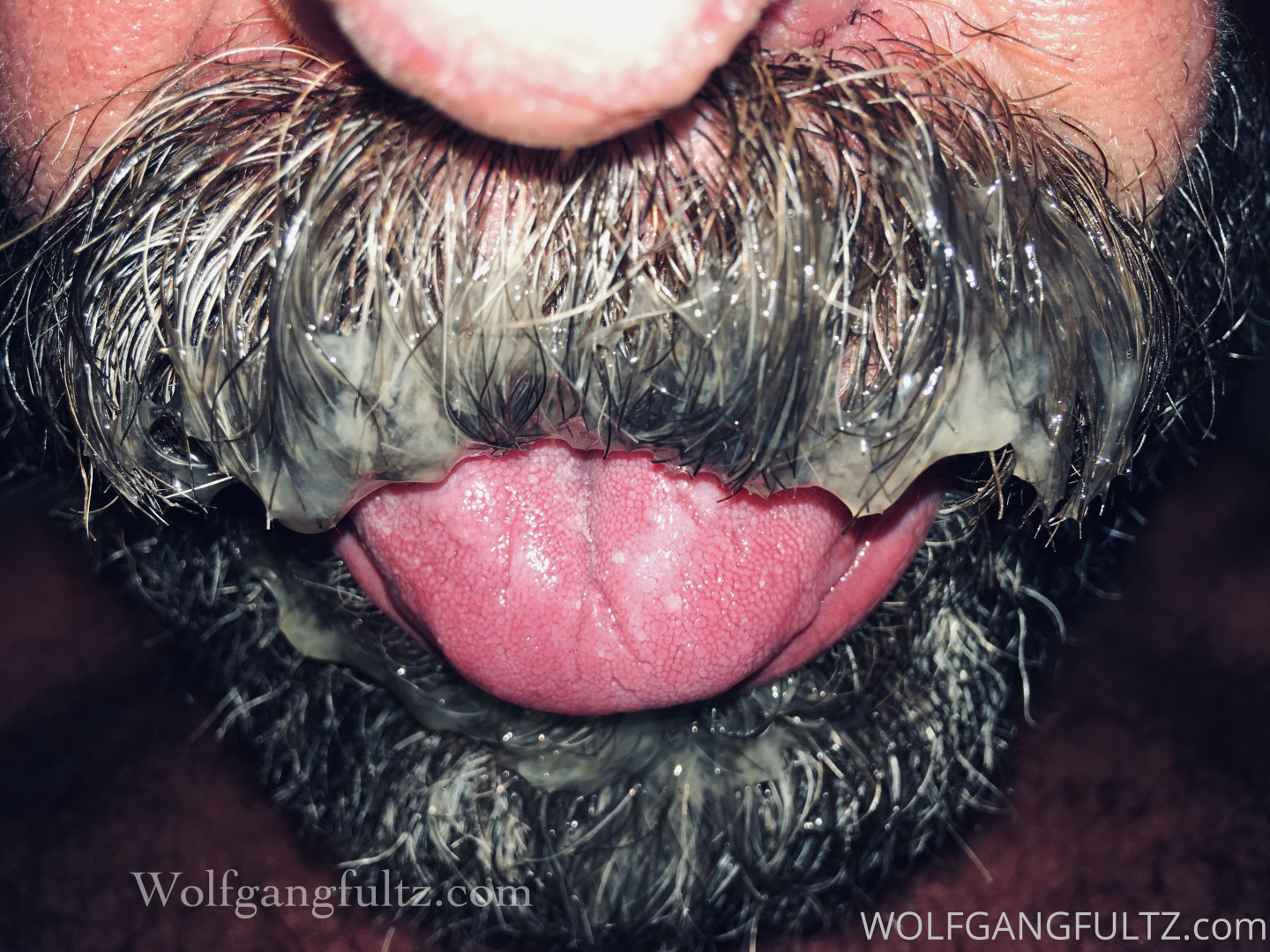 Photo by wolfgangfultz published on May 16,2023 00:46:21 - BestThots