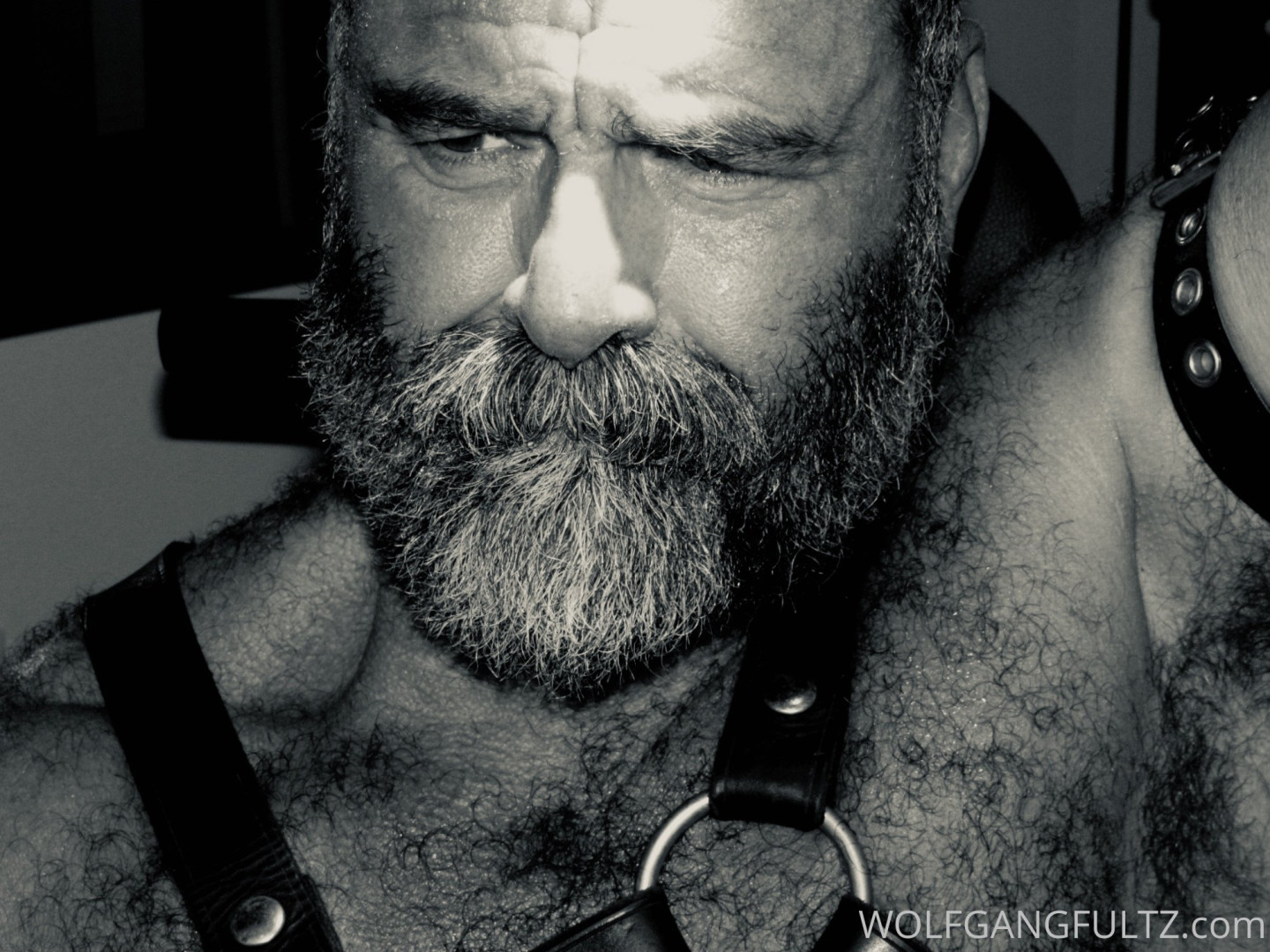 Photo by wolfgangfultz published on May 16,2023 00:47:09 - BestThots