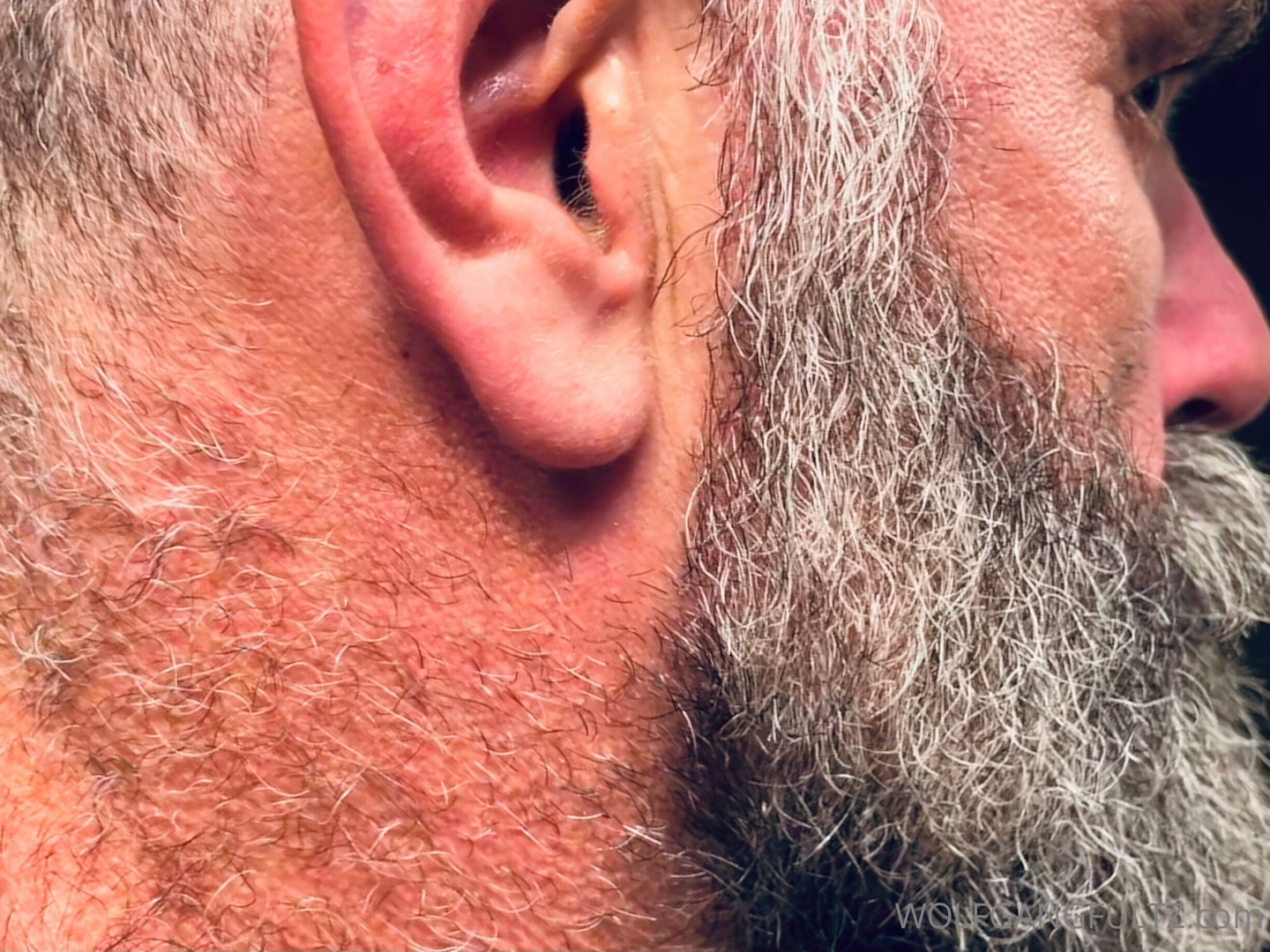 Photo by wolfgangfultz published on May 16,2023 00:48:56 - BestThots