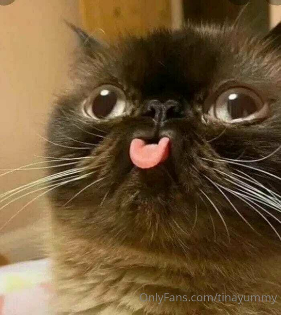 Photo by tinayummy published on May 16,2023 17:31:00 - BestThots