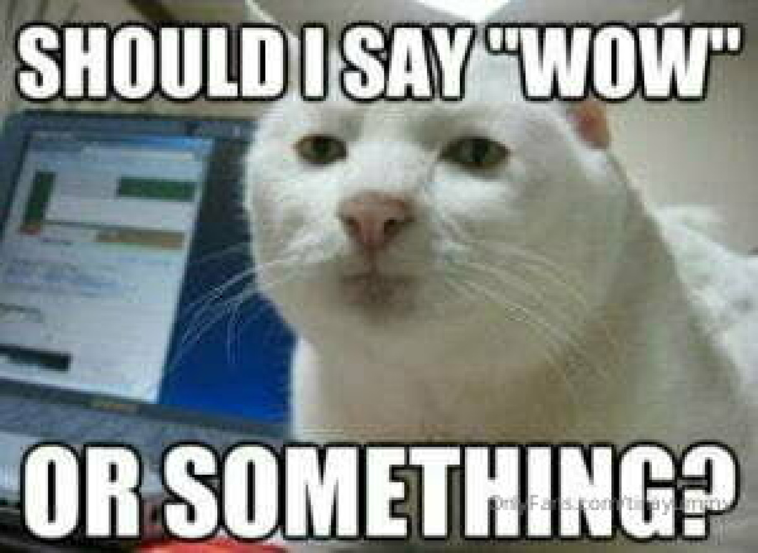 Photo by tinayummy published on May 16,2023 17:31:31 - BestThots