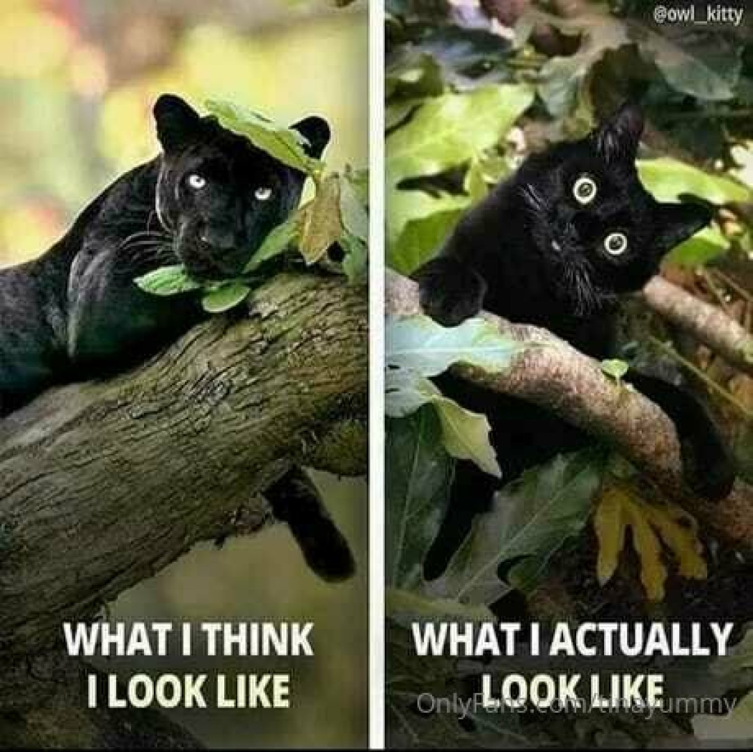 Photo by tinayummy published on May 16,2023 17:31:39 - BestThots