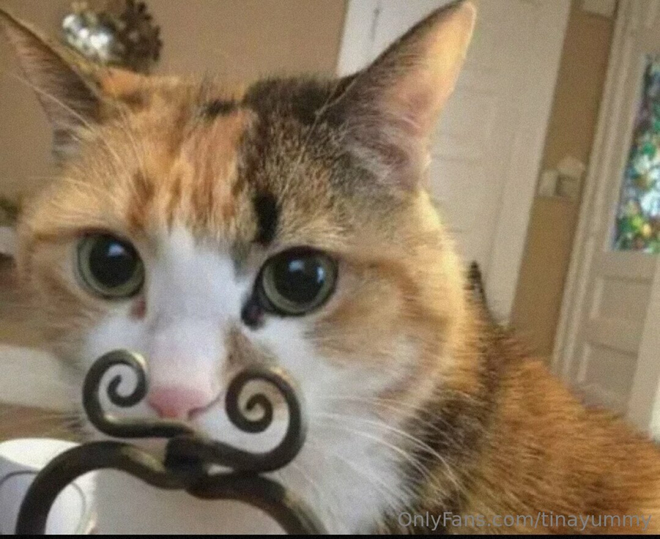 Photo by tinayummy published on May 16,2023 17:31:50 - BestThots