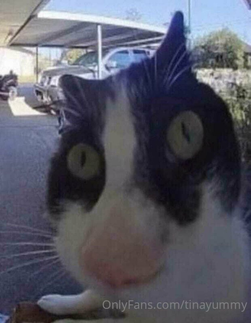 Photo by tinayummy published on May 16,2023 17:32:21 - BestThots