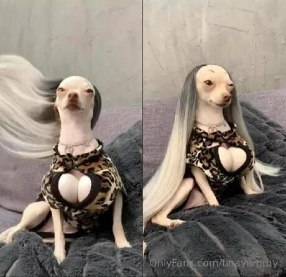 Photo by tinayummy published on May 16,2023 17:32:45 - BestThots