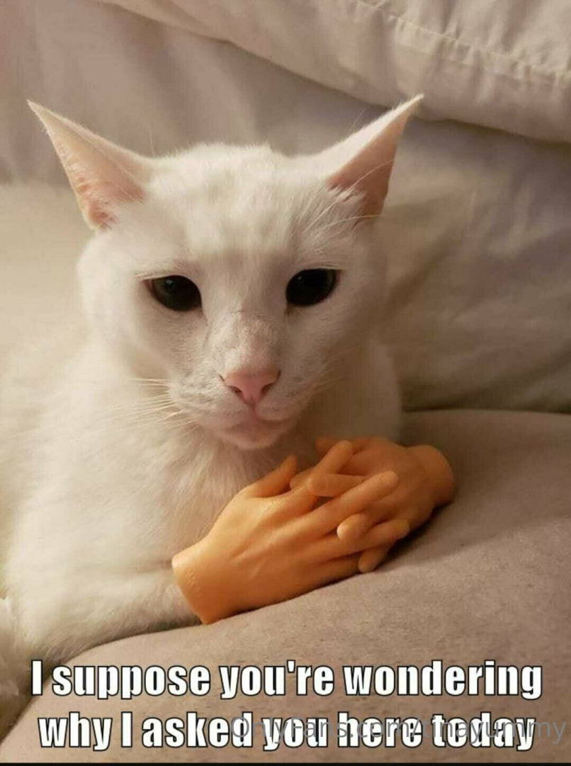 Photo by tinayummy published on May 16,2023 17:32:51 - BestThots