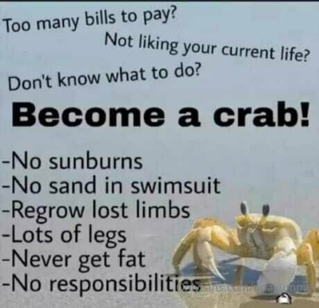 Photo by tinayummy published on May 16,2023 17:33:13 - BestThots