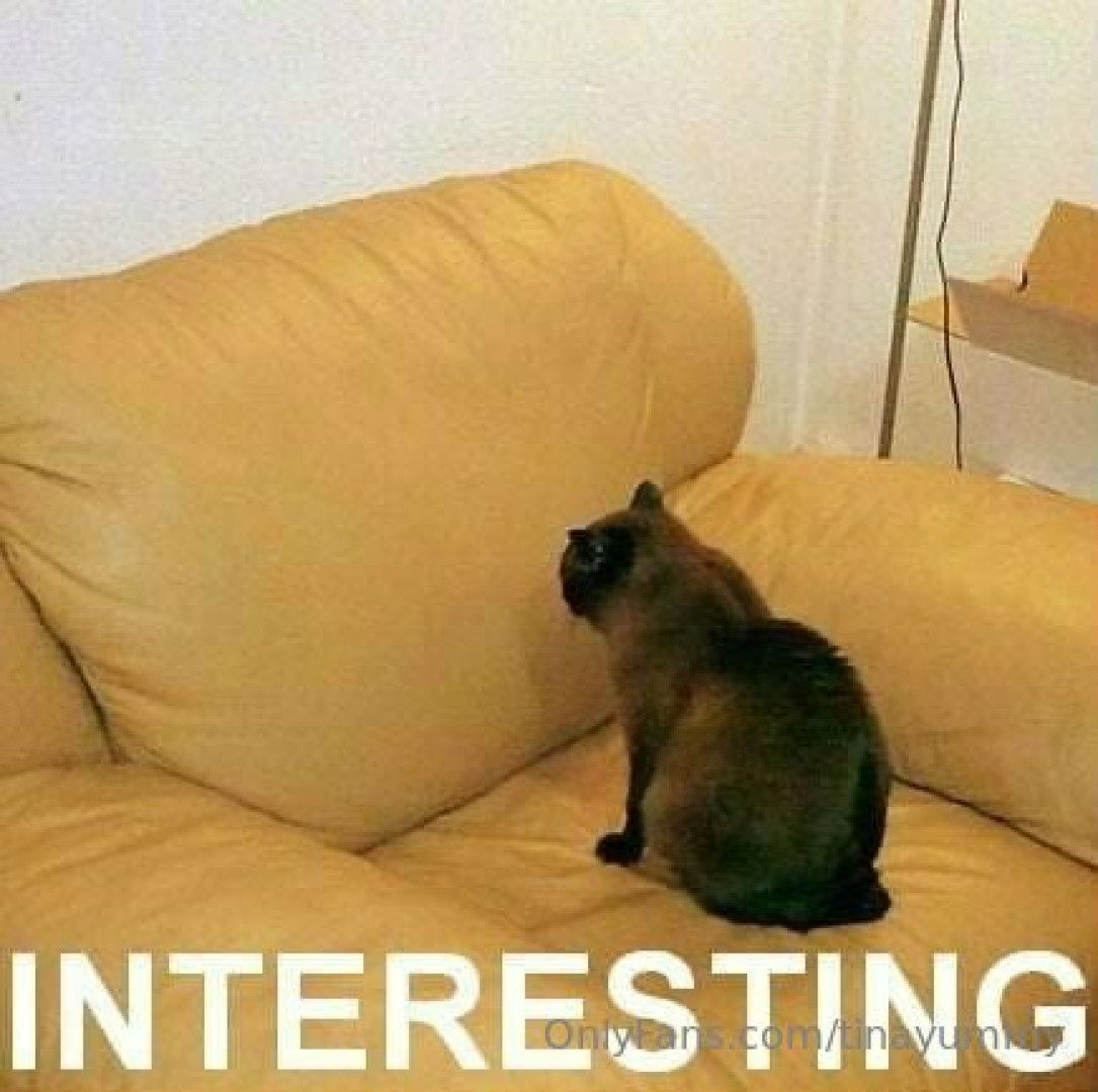 Photo by tinayummy published on May 16,2023 17:33:26 - BestThots