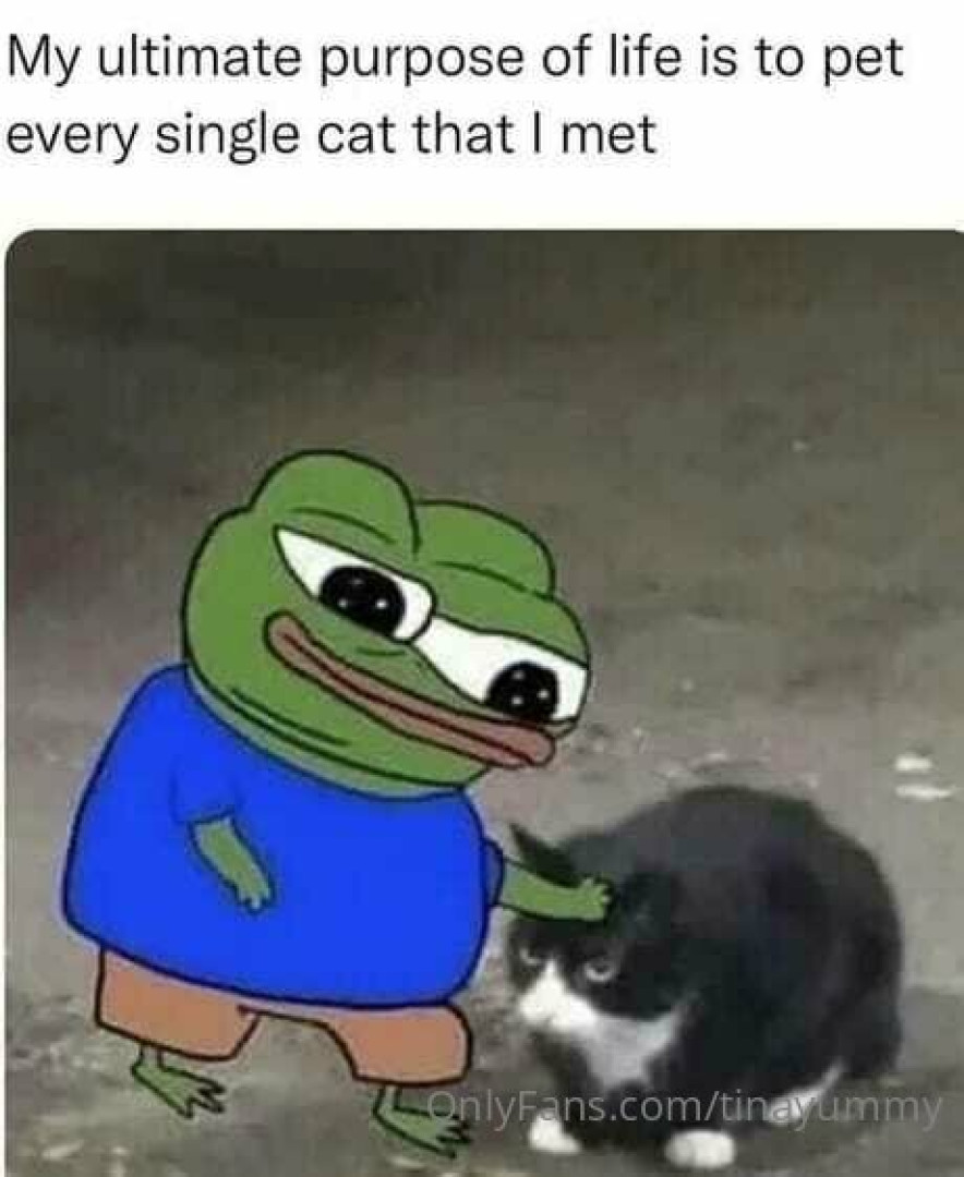 Photo by tinayummy published on May 16,2023 17:33:43 - BestThots