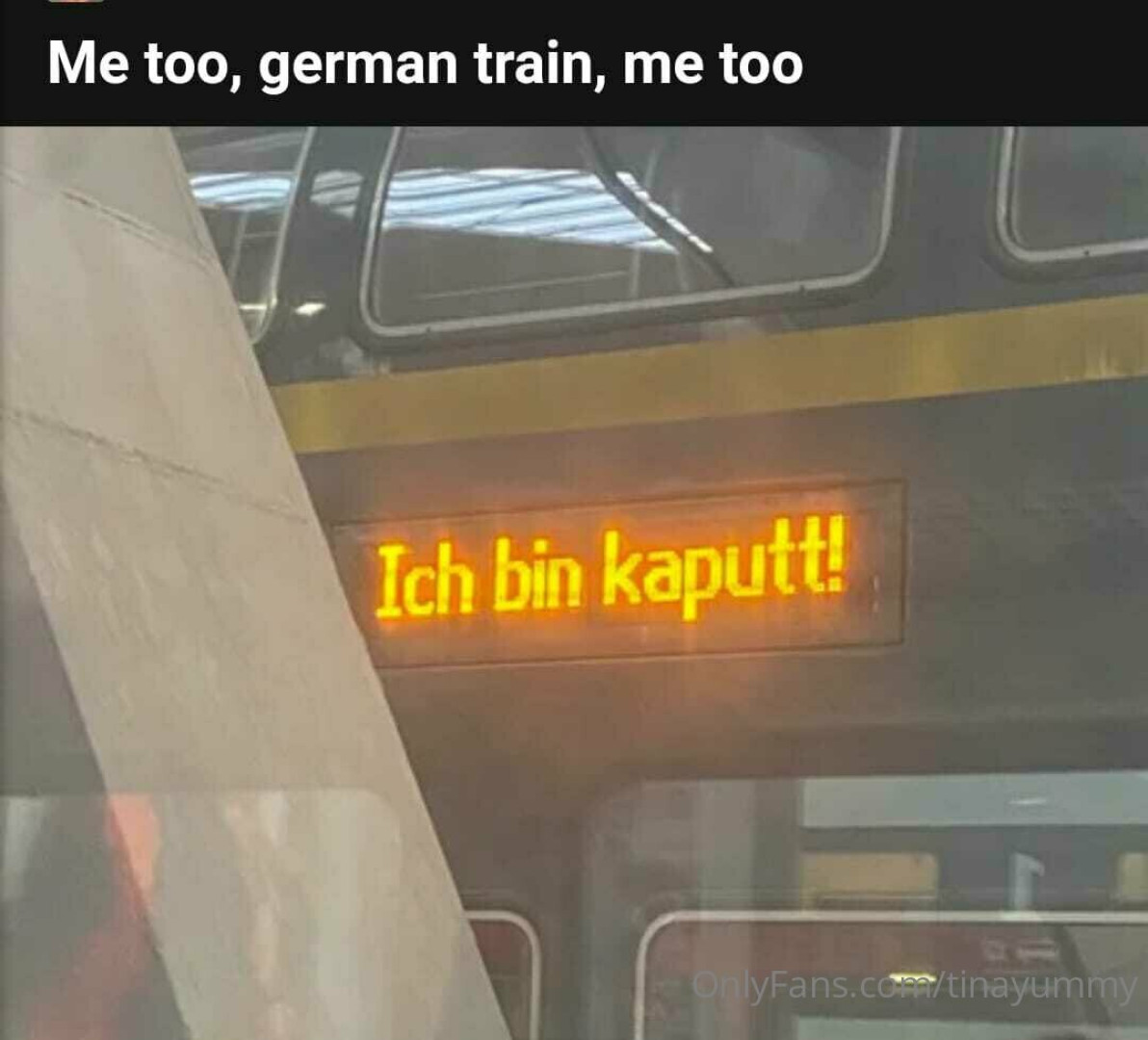 Photo by tinayummy published on May 16,2023 17:34:34 - BestThots