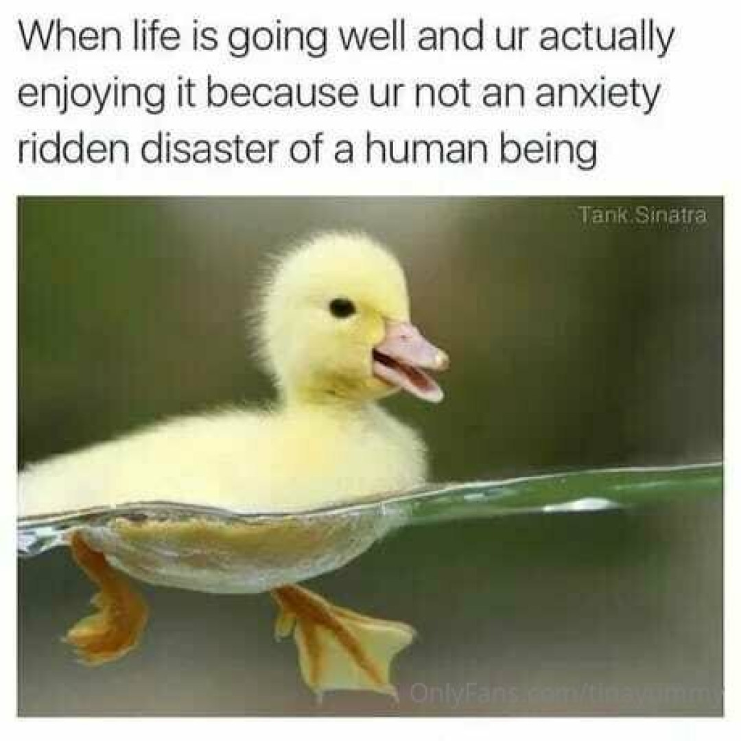 Photo by tinayummy published on May 16,2023 17:35:44 - BestThots