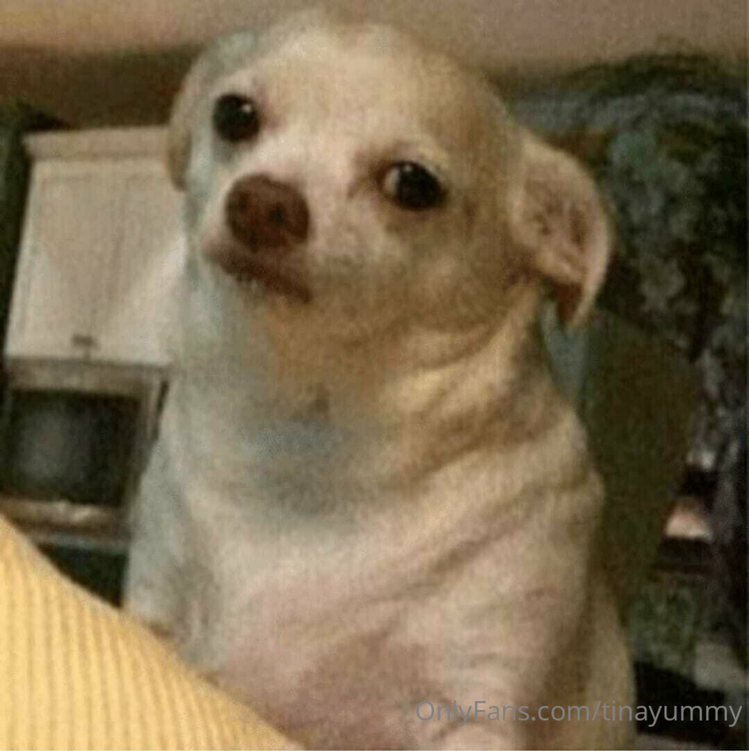 Photo by tinayummy published on May 16,2023 17:35:49 - BestThots