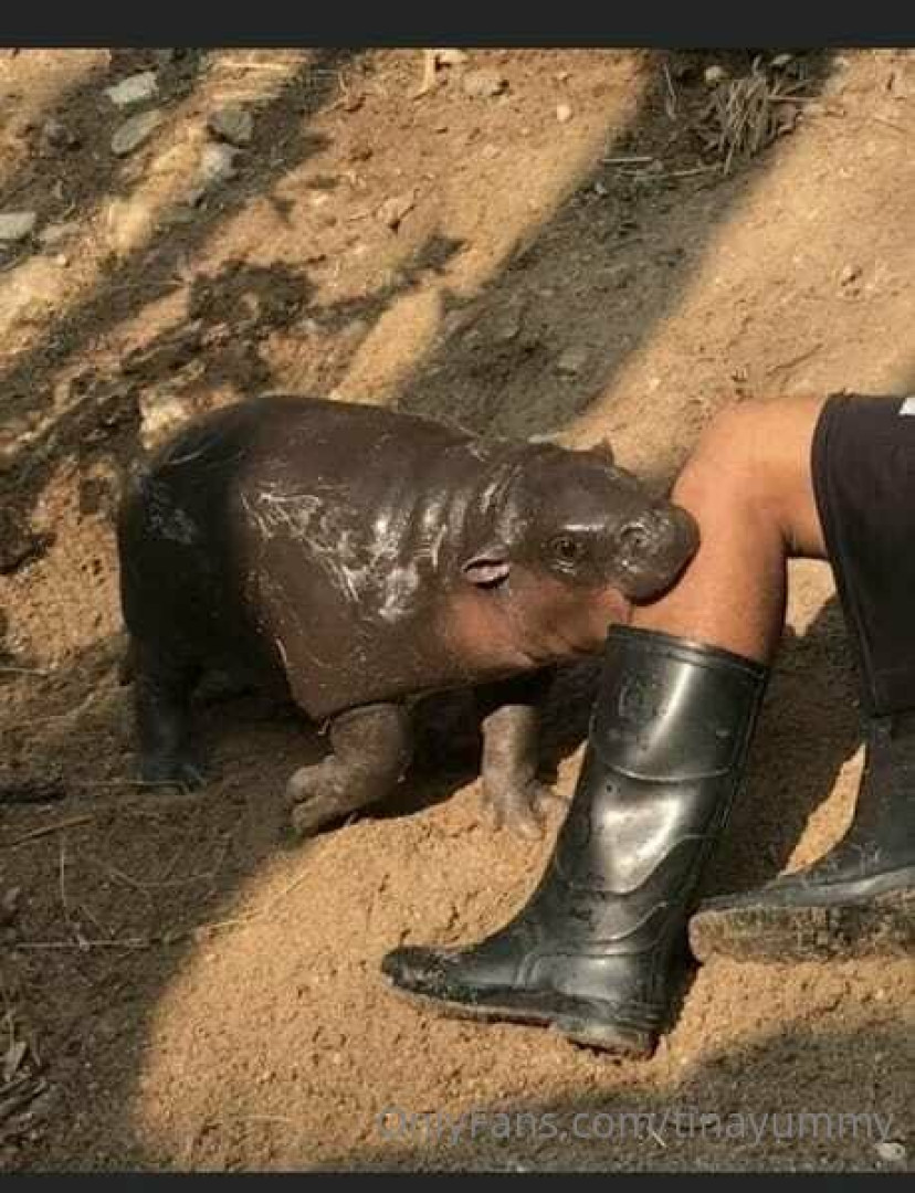 Photo by tinayummy published on May 16,2023 17:36:00 - BestThots