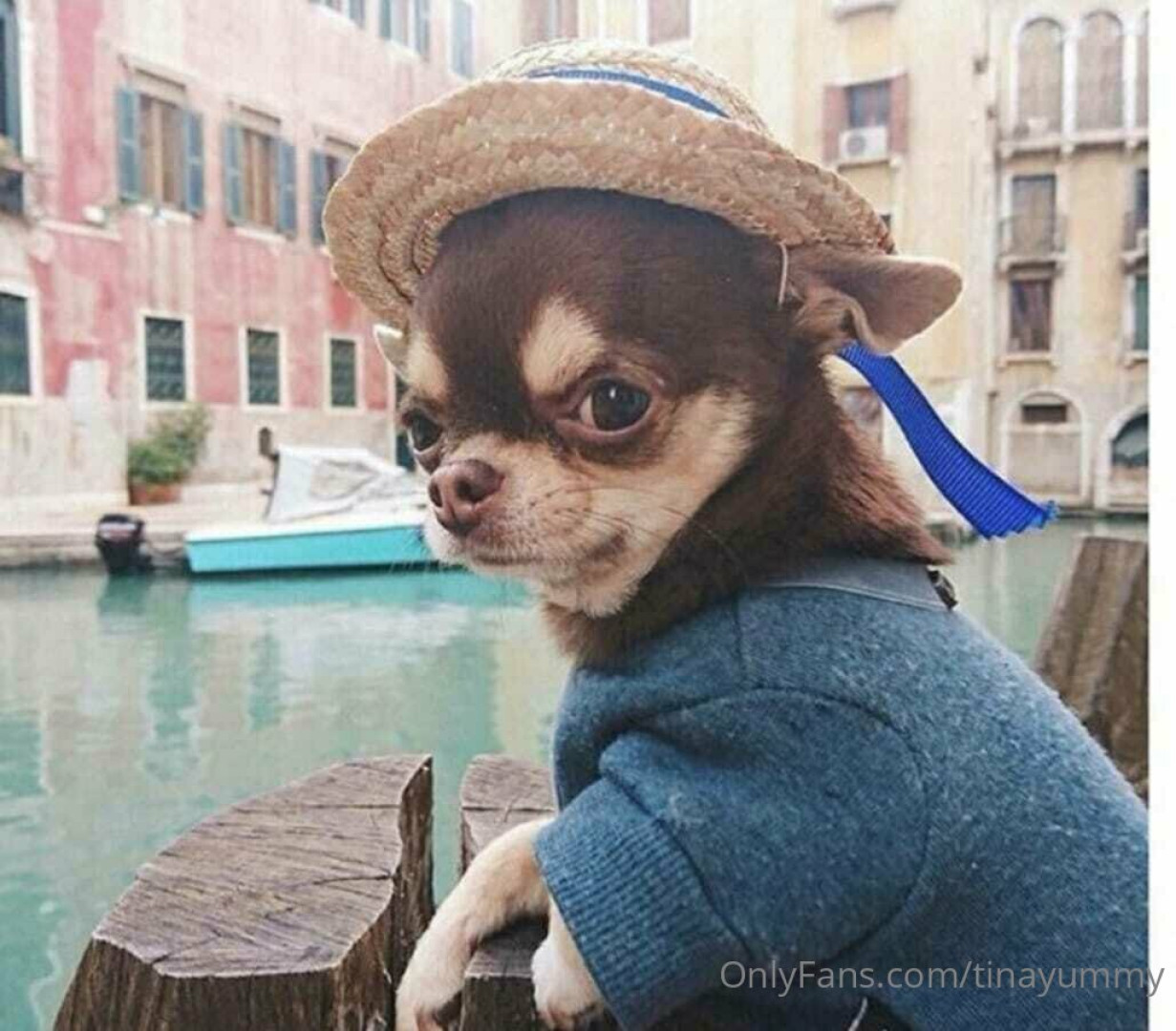 Photo by tinayummy published on May 16,2023 17:36:42 - BestThots