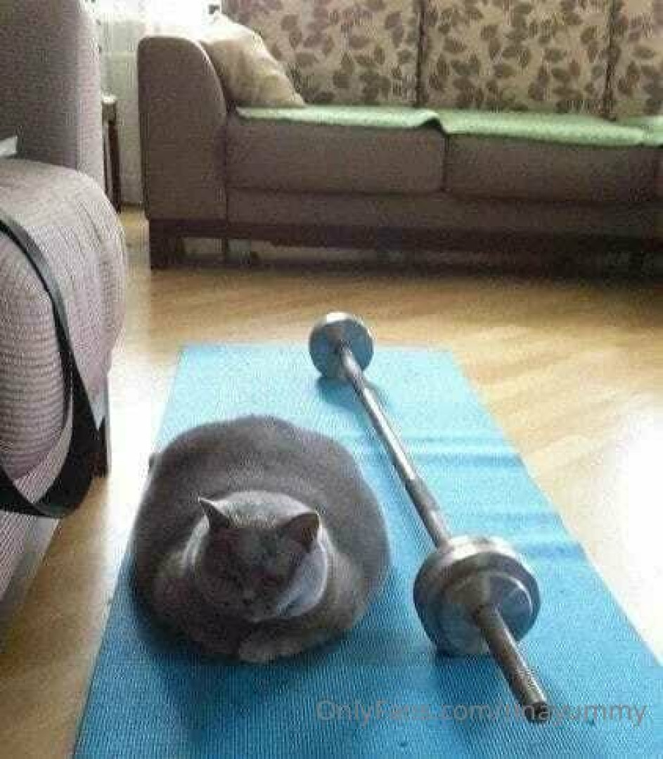 Photo by tinayummy published on May 16,2023 17:37:23 - BestThots