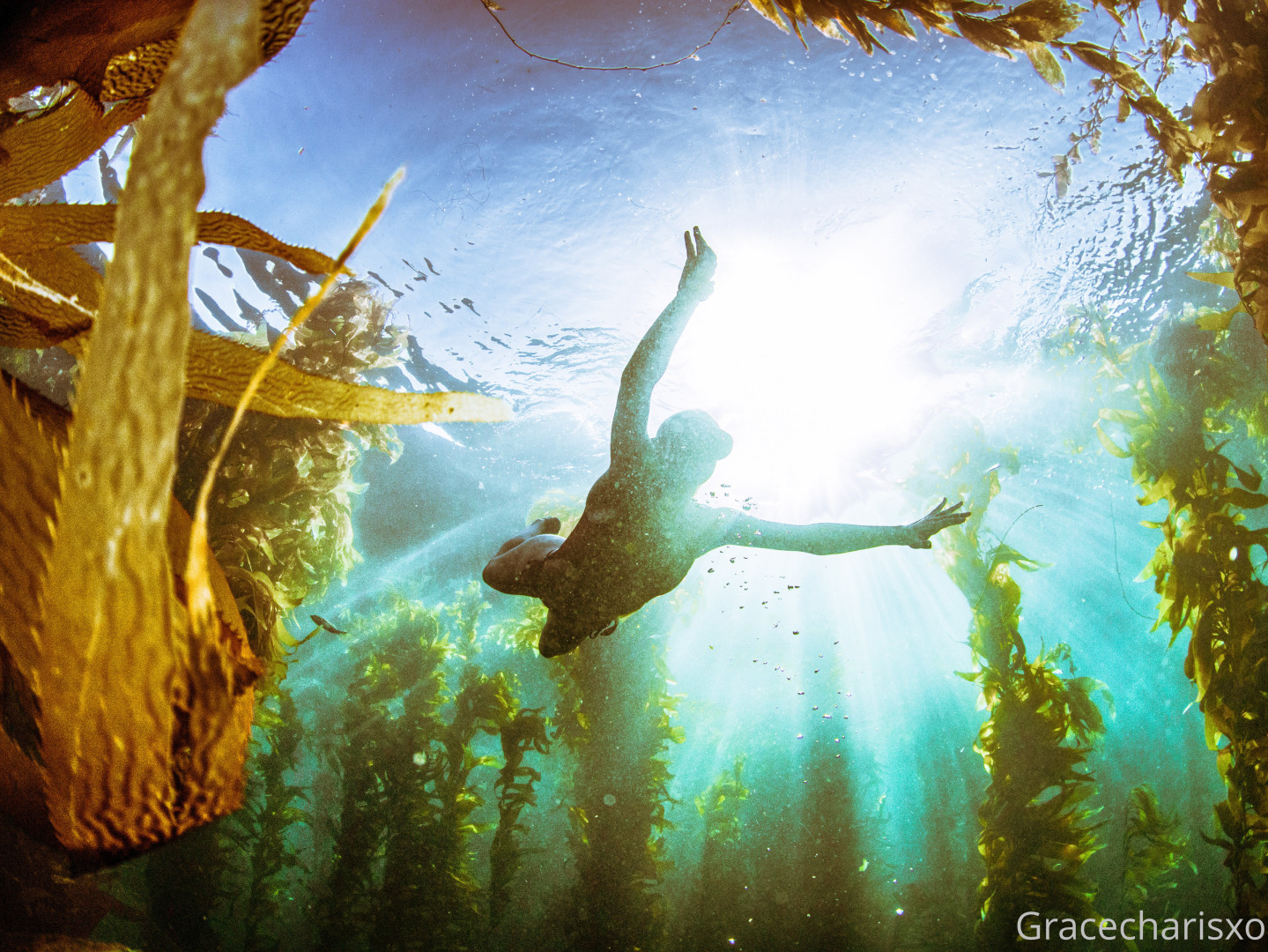 Photo by gracecharisxo published on October 16,2023 11:53:59 - BestThots