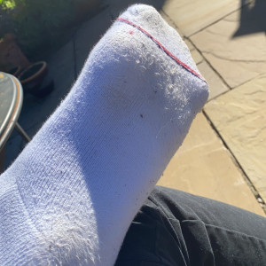 alphakingalbie #8346466